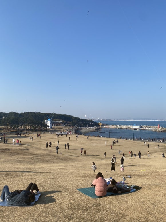 연이한이 이미지