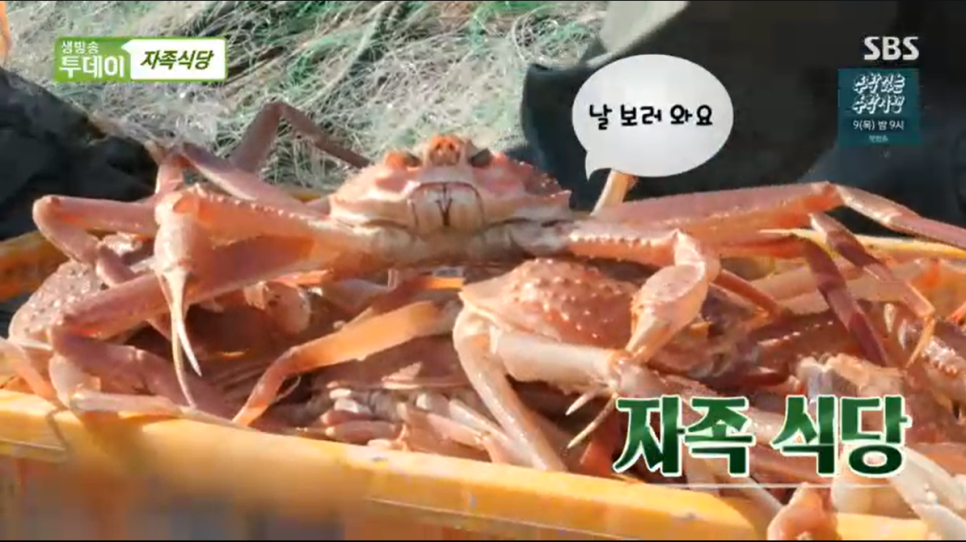 바다식당경주 이미지