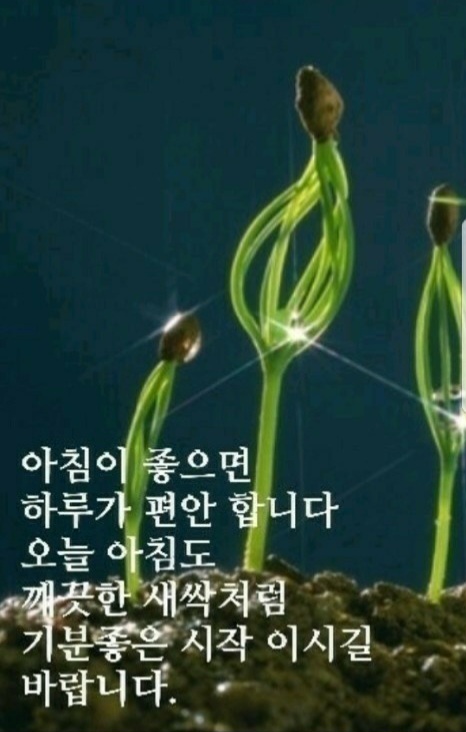 만당 이미지