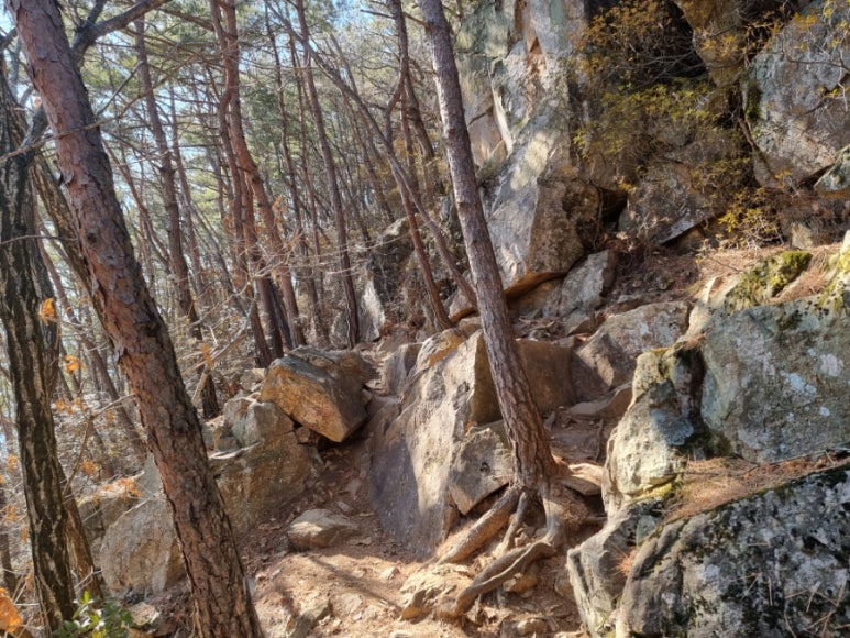 장회나루휴게소 이미지