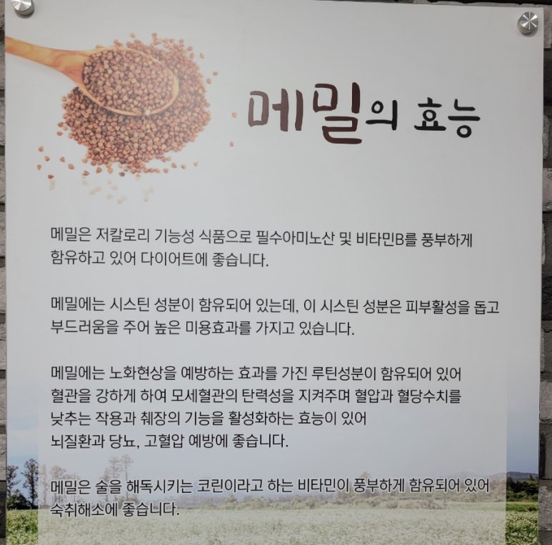 초원막국수 이미지
