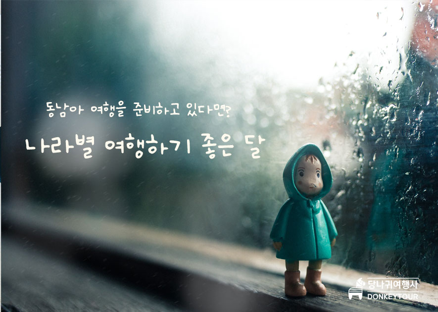 당나귀 여행사 이미지
