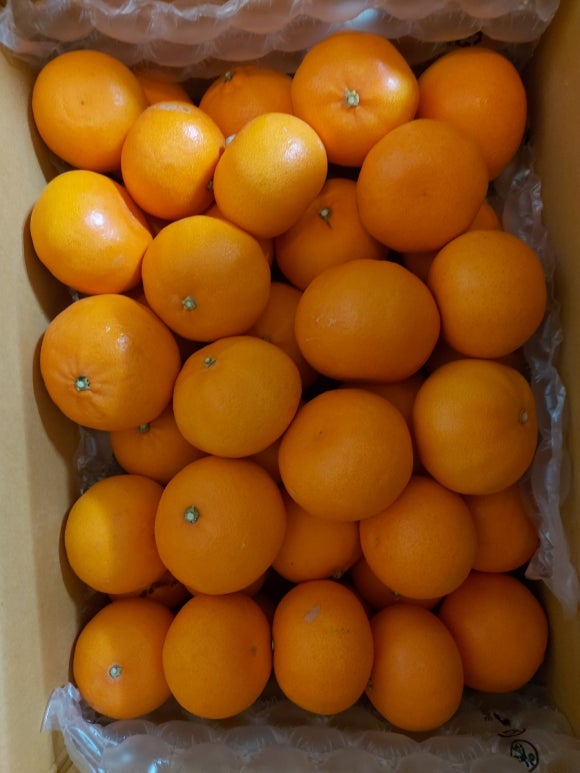 하람PC방 이미지
