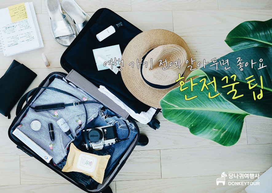 당나귀 여행사 이미지