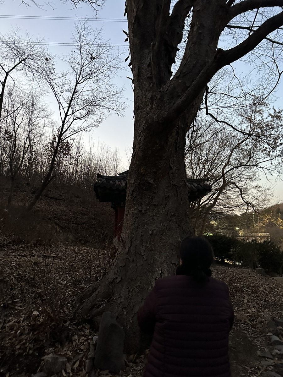 용해장 이미지