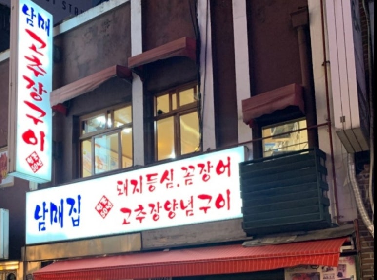 고향돼지 이미지