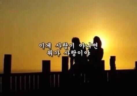 엠아이오케이 이미지