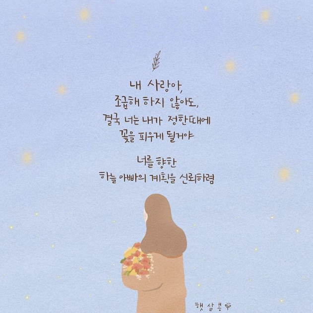 티엘엠 이미지