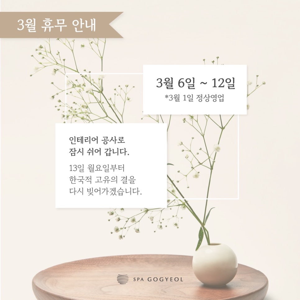 스파고결 이미지