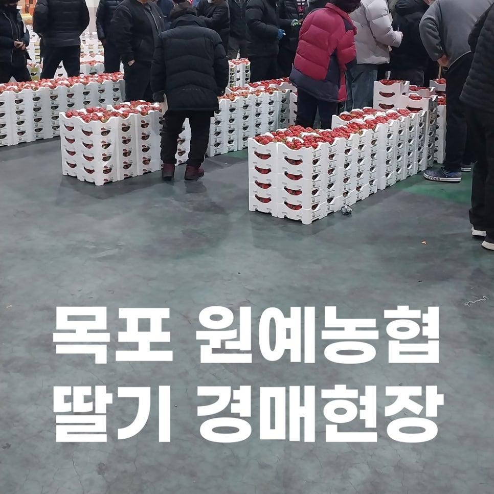 목포원예 농업협동조합 이미지
