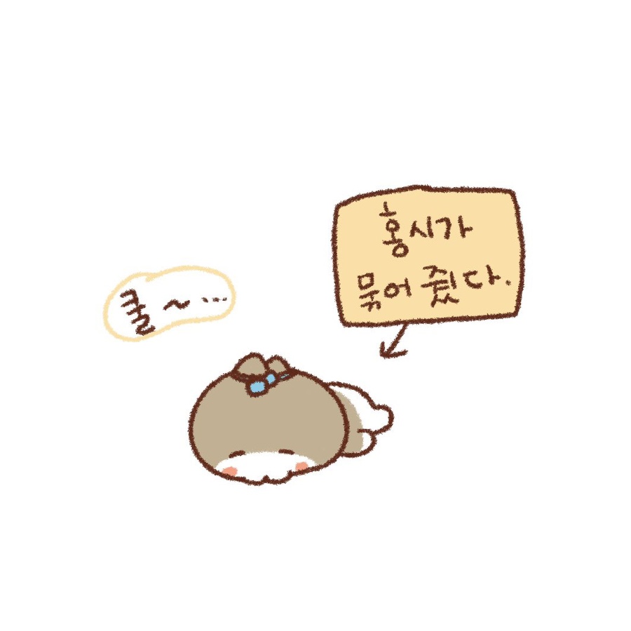 쭈야# 이미지