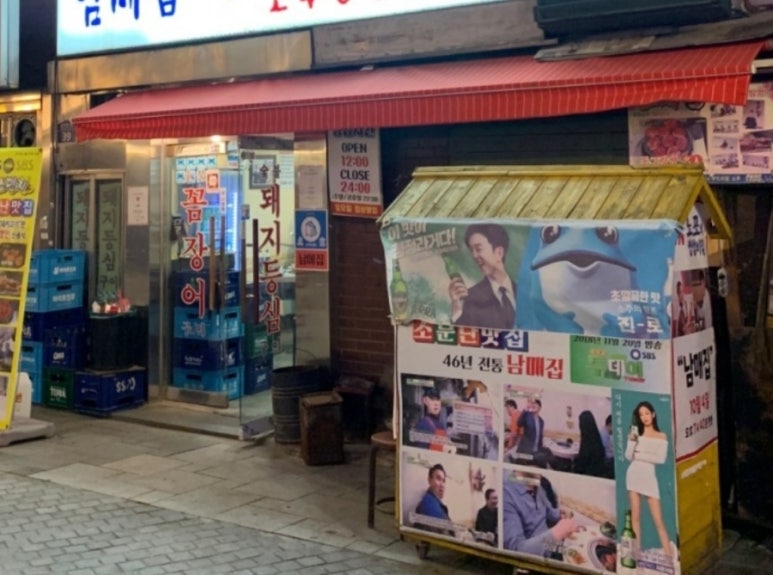 고향돼지 이미지