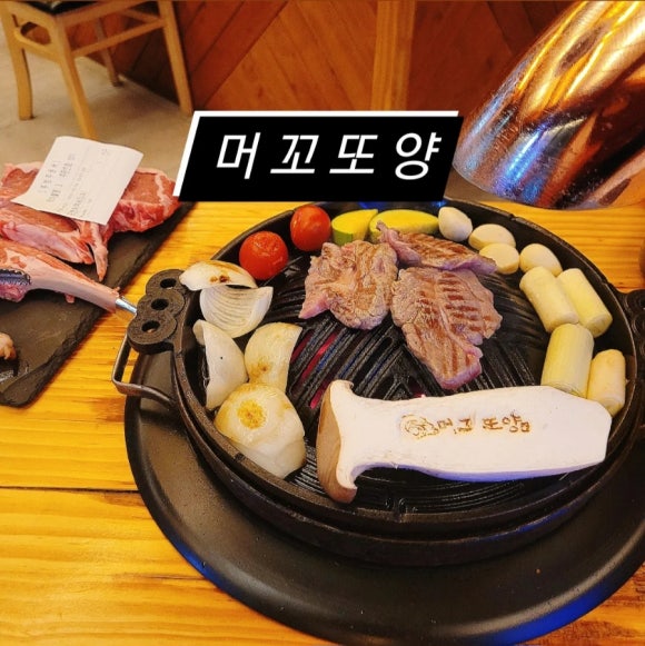 머꼬또양 이미지
