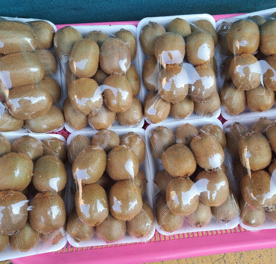 한아름청과 이미지