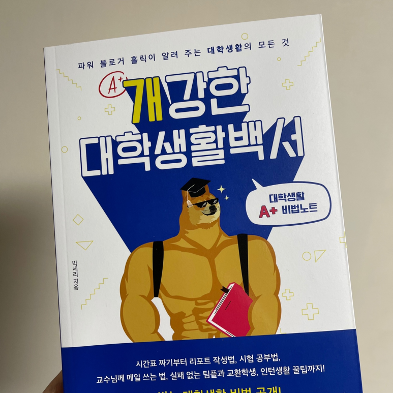 비엔피 이미지