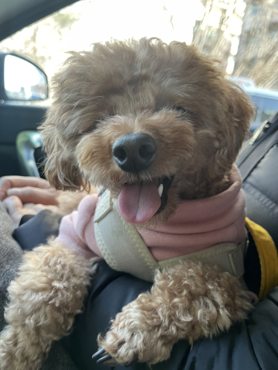 마도로스커피 이미지
