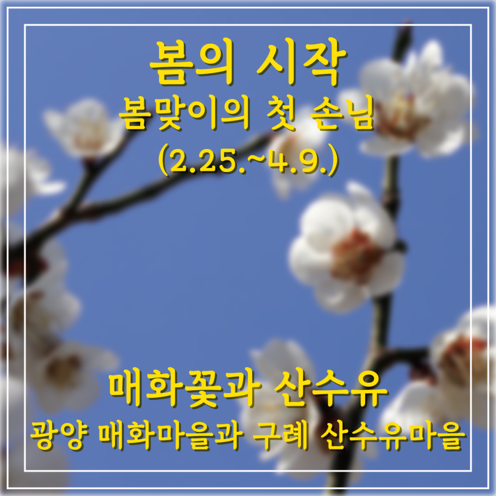 주원항공여행사 이미지