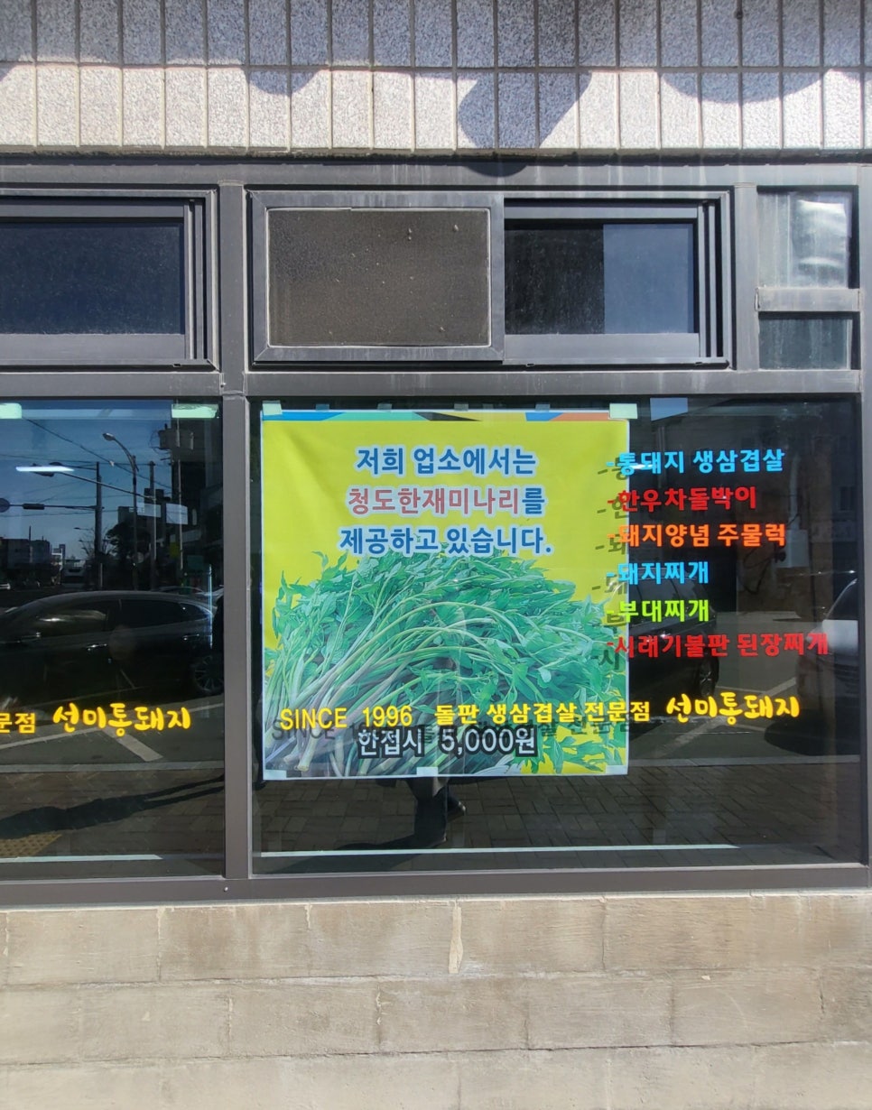 선미통돼지시지 이미지