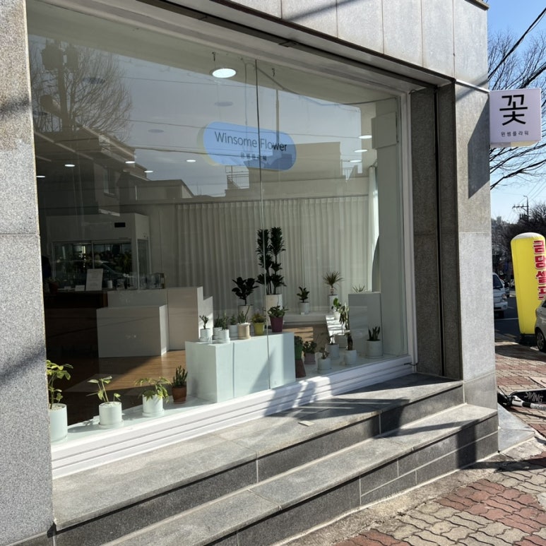 윈썸플라워 이미지