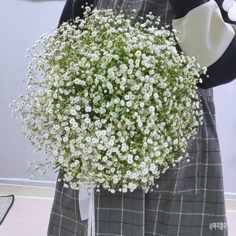 마지않다 이미지