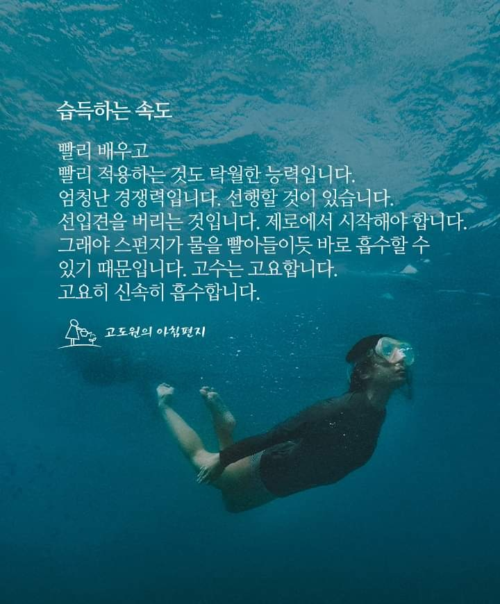 화갤러리 이미지