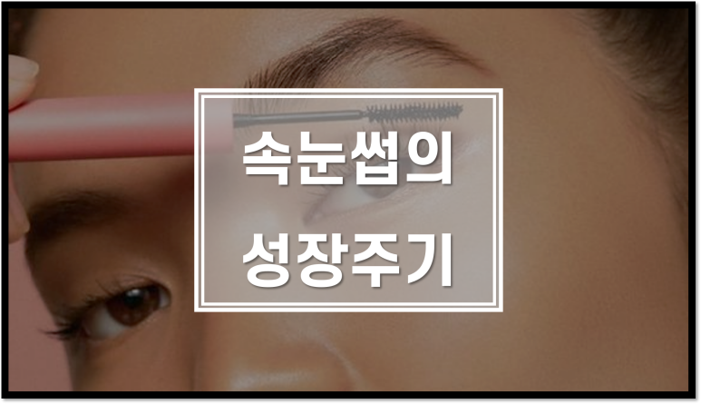 탑뷰티아카데미미용학원 이미지