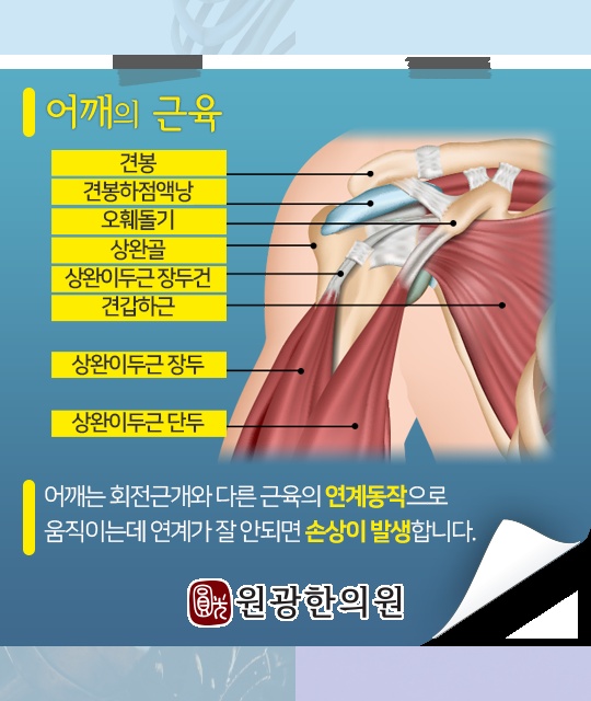원광한의원 이미지
