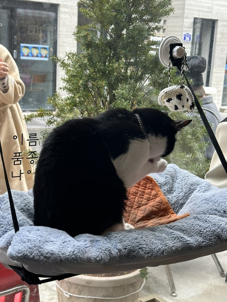 나이브커피 이미지