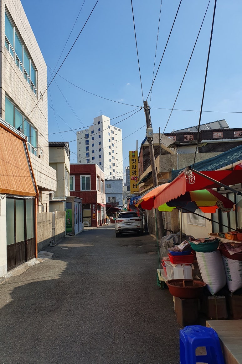 달맞이꽃 분식 이미지