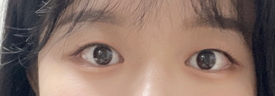 로코네로 이미지