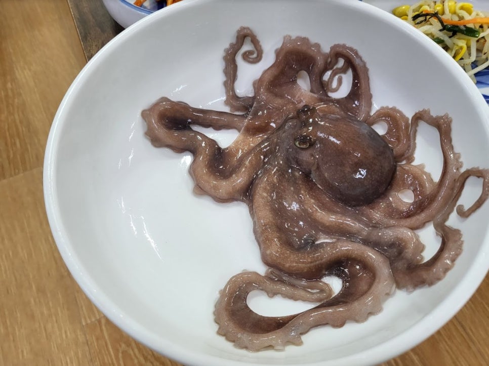 오성반찬 이미지