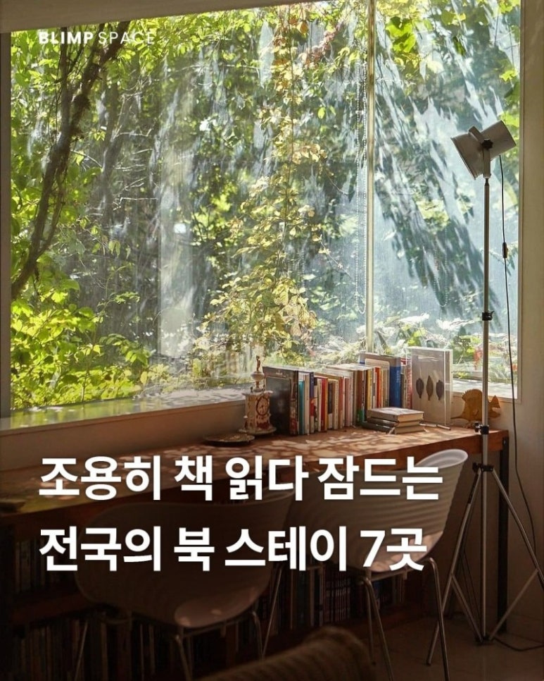 화이트스테이 이미지