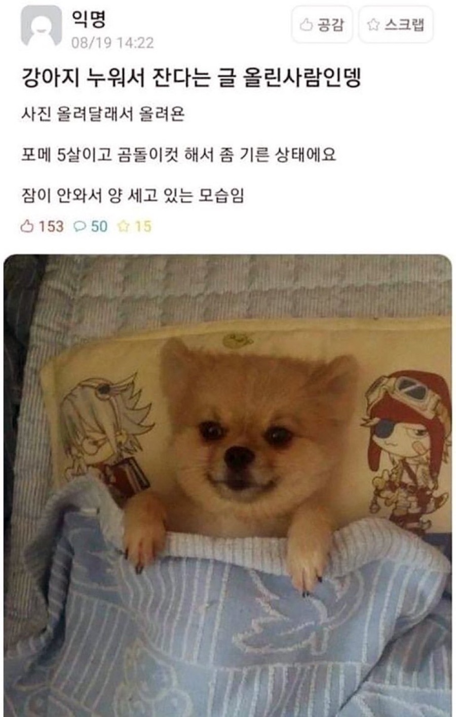 일이이로 이미지