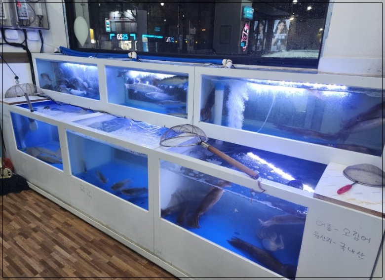 싱싱산오징어 이미지