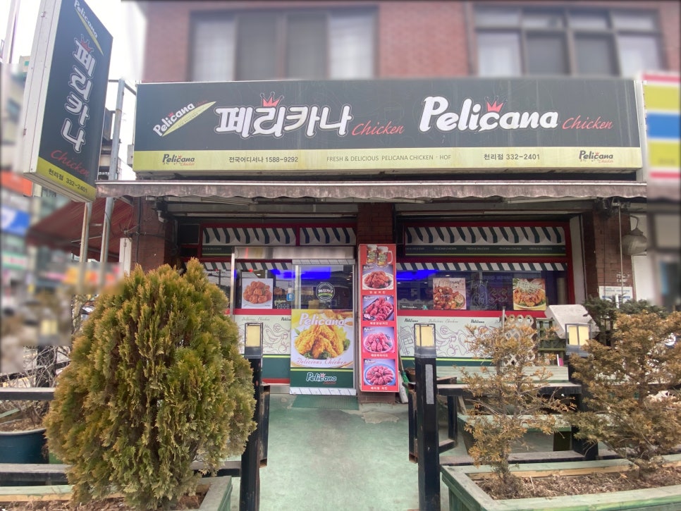 천리페리카나 이미지