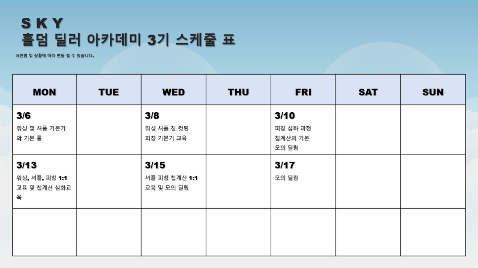 스카이홀덤 이미지
