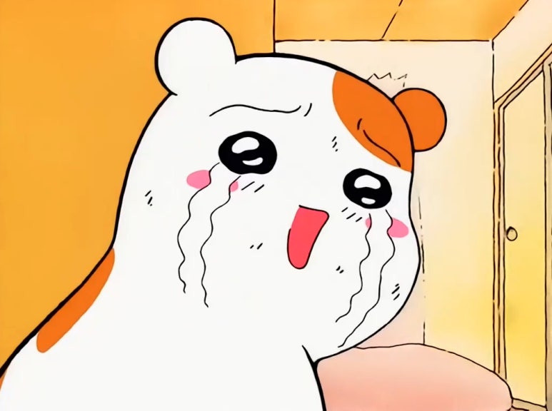 이예앤이예 이미지