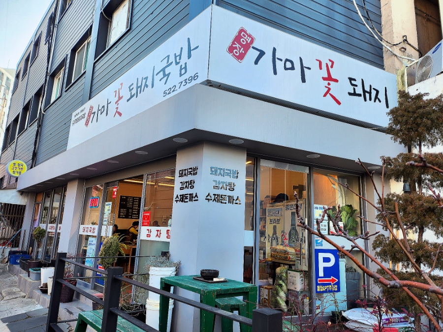 가마꽃돼지 이미지