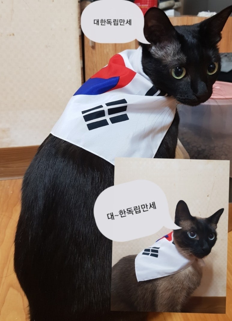 에듀하우스 이미지
