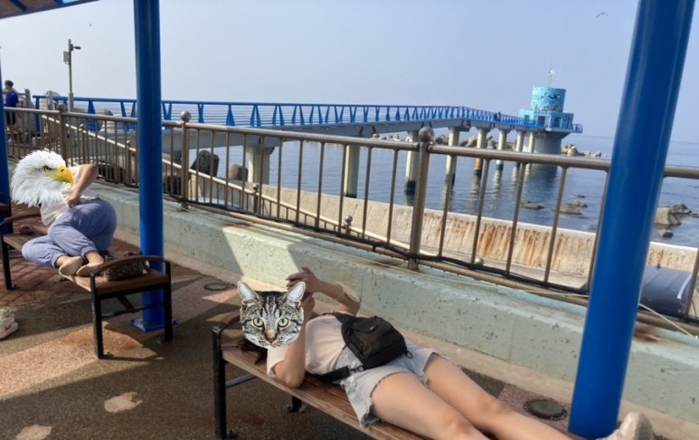 천부상회 이미지