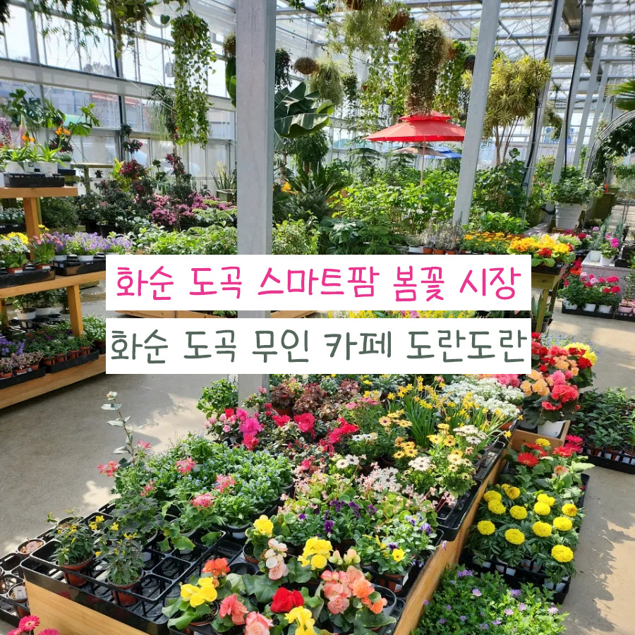 도란도란팜 이미지