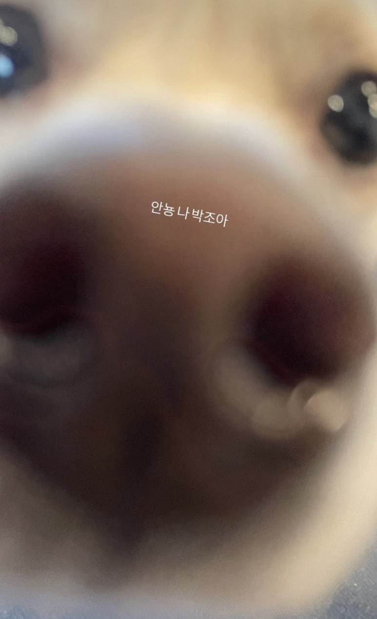 티티엠(ttm) 이미지