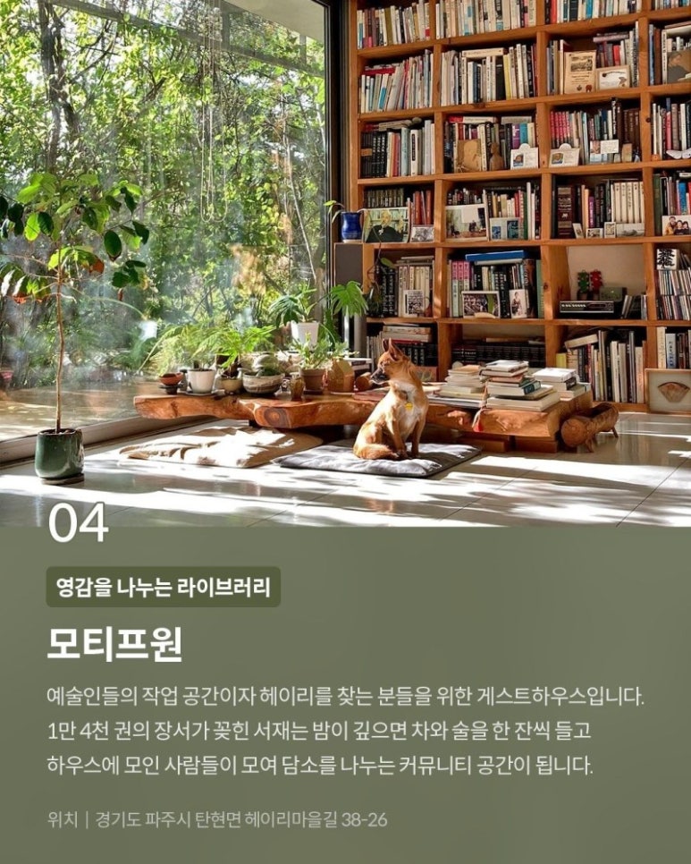 화이트스테이 이미지