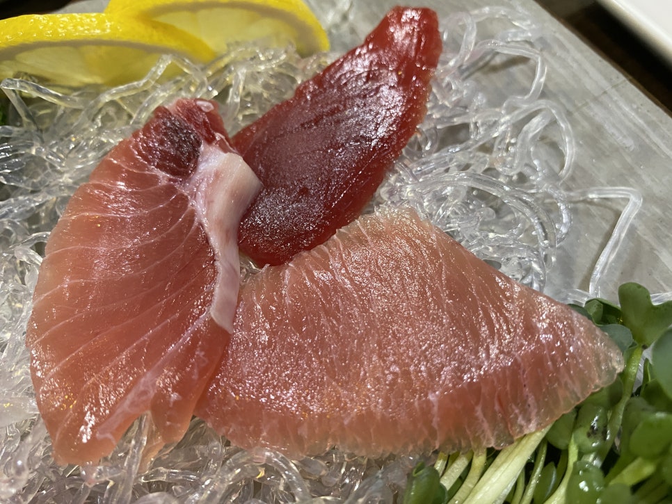 수상한참치.회 이미지