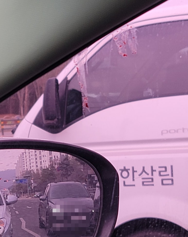 사과나무 주유소 이미지