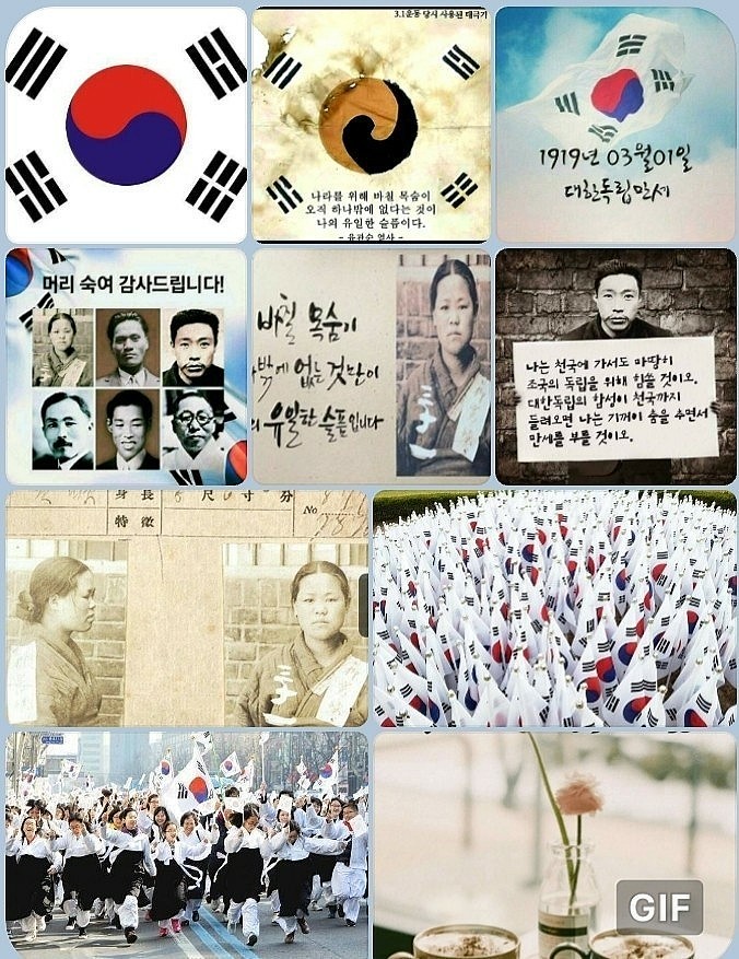 포항중고 이미지