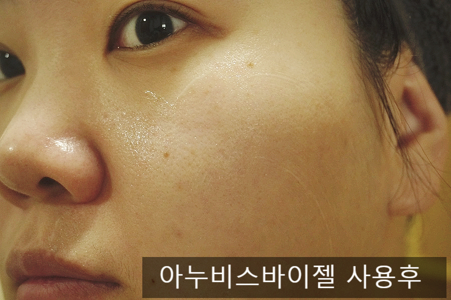 아누비스에스테틱 이미지