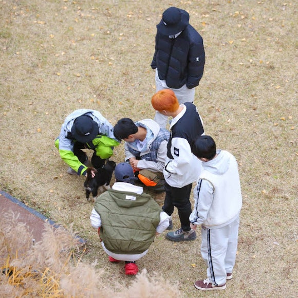 고잉고잉컴퍼니 이미지