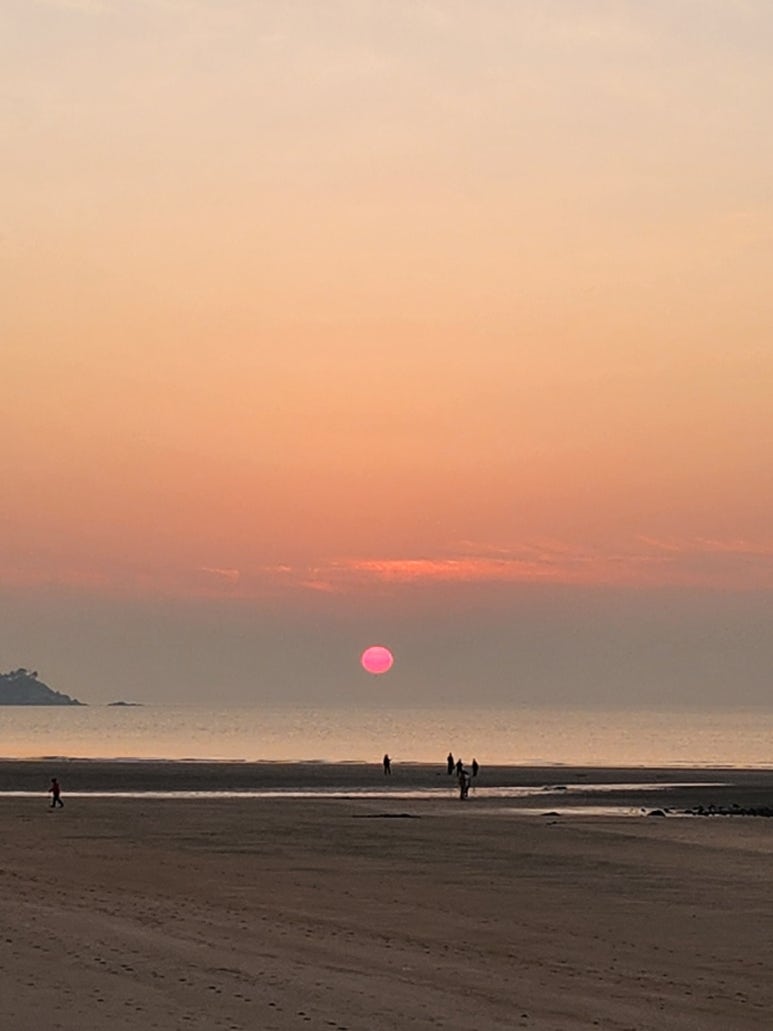 대건수산주 이미지