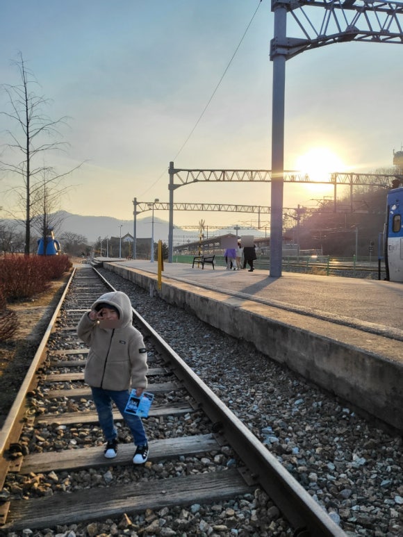 금병산약초카페 이미지